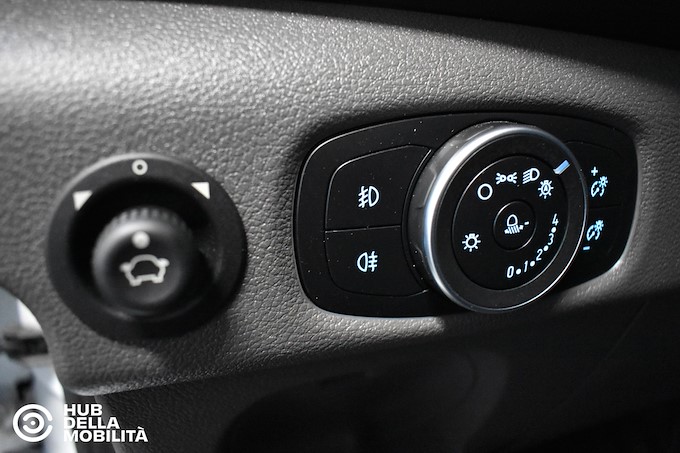 FORD Transit 290 2.0TDCi EcoBlue PM-TM Furgone Trend