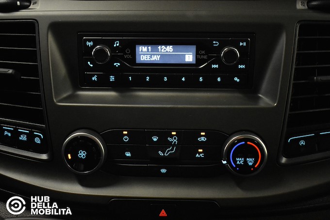 FORD Transit 290 2.0TDCi EcoBlue PM-TM Furgone Trend